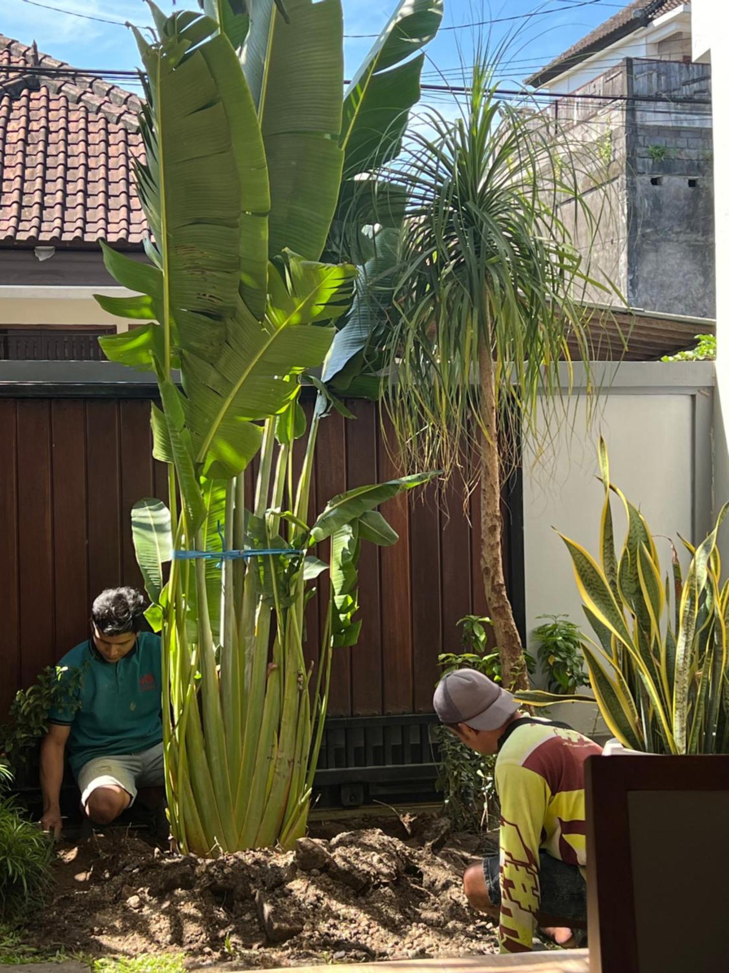 Villa Makmur Kerobokan Exteriér fotografie
